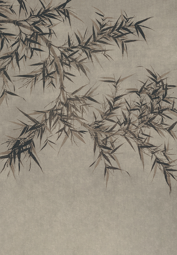 FH-墨竹
